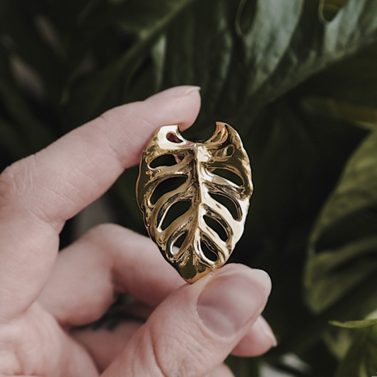 Golden Monstera Leaf Ear Weights
