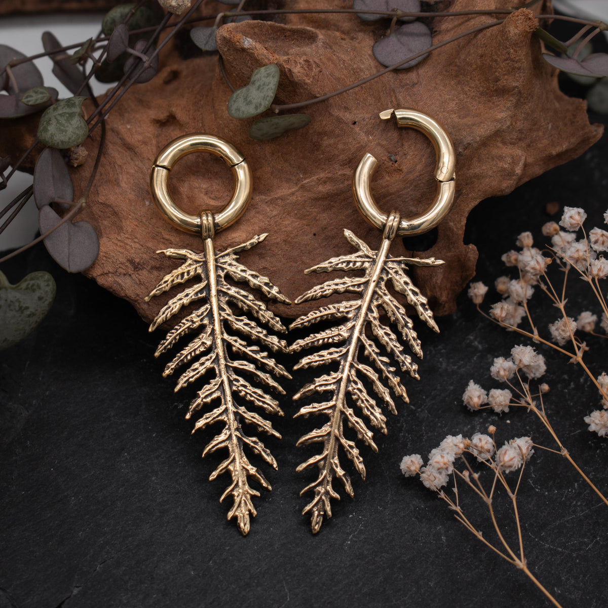 Ear Weights & Hangers