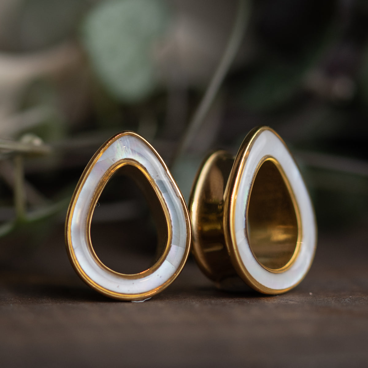 Golden Shell Tunnels