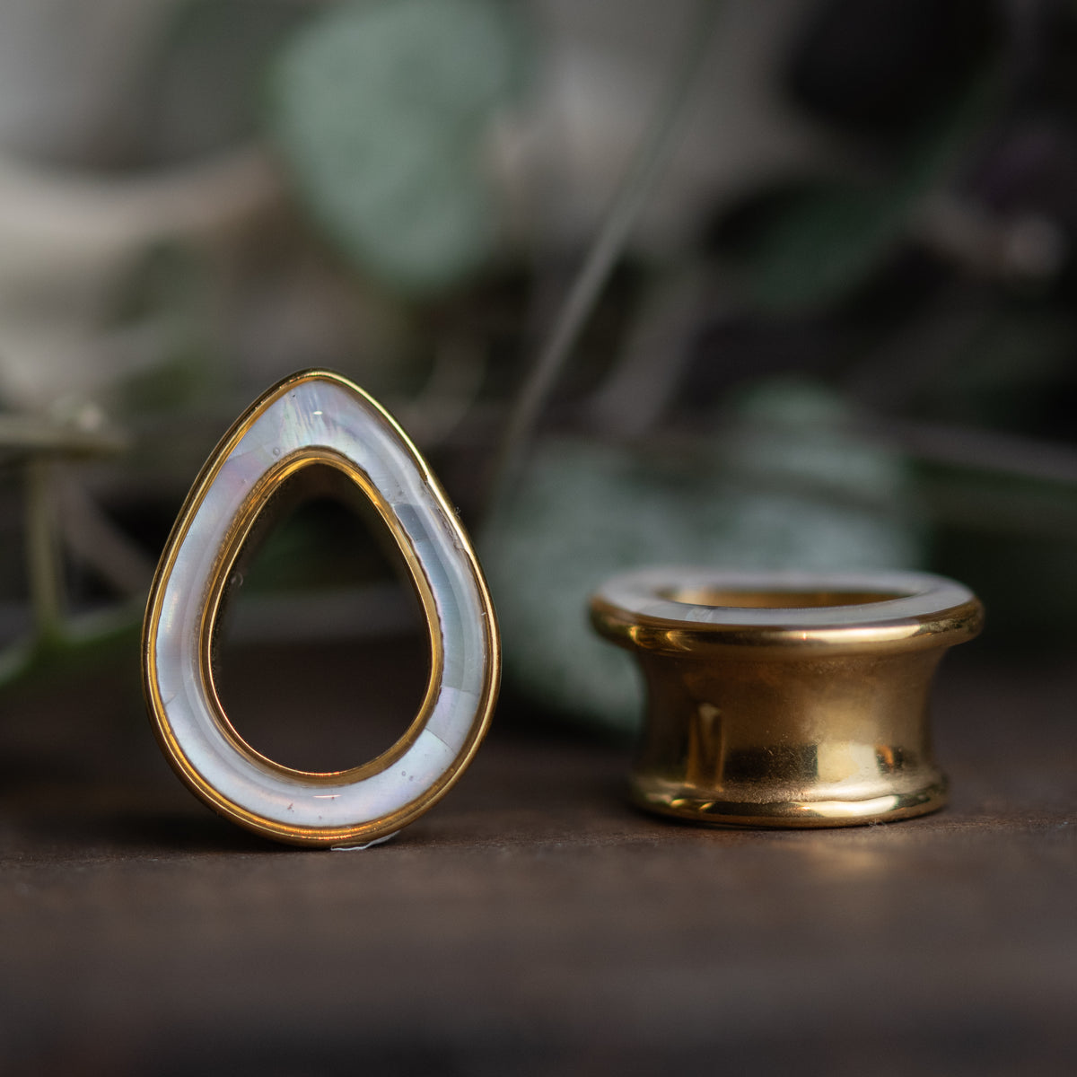 Golden Shell Tunnels