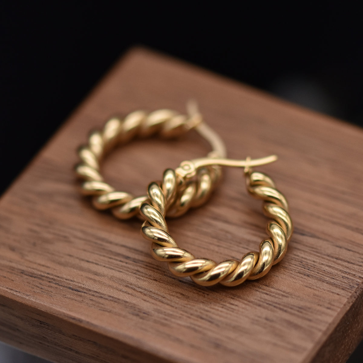 Golden Twisted Rope Hoop Earrings