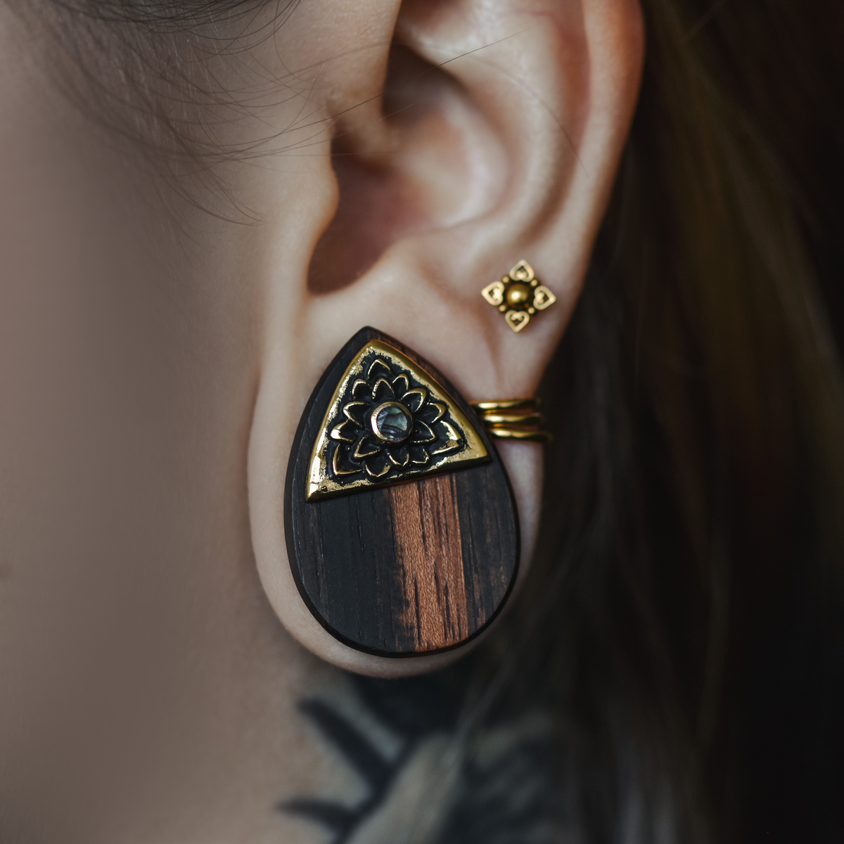 Abalone Holz Tropfen Plugs