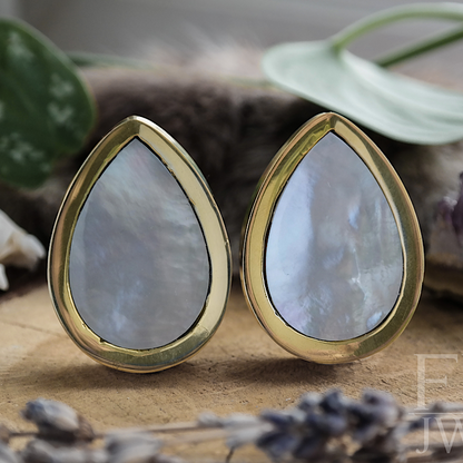 Golden Shell Teardrop Plugs